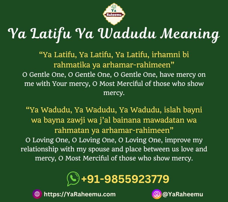 Ya Latifu Ya Wadudu Meaning